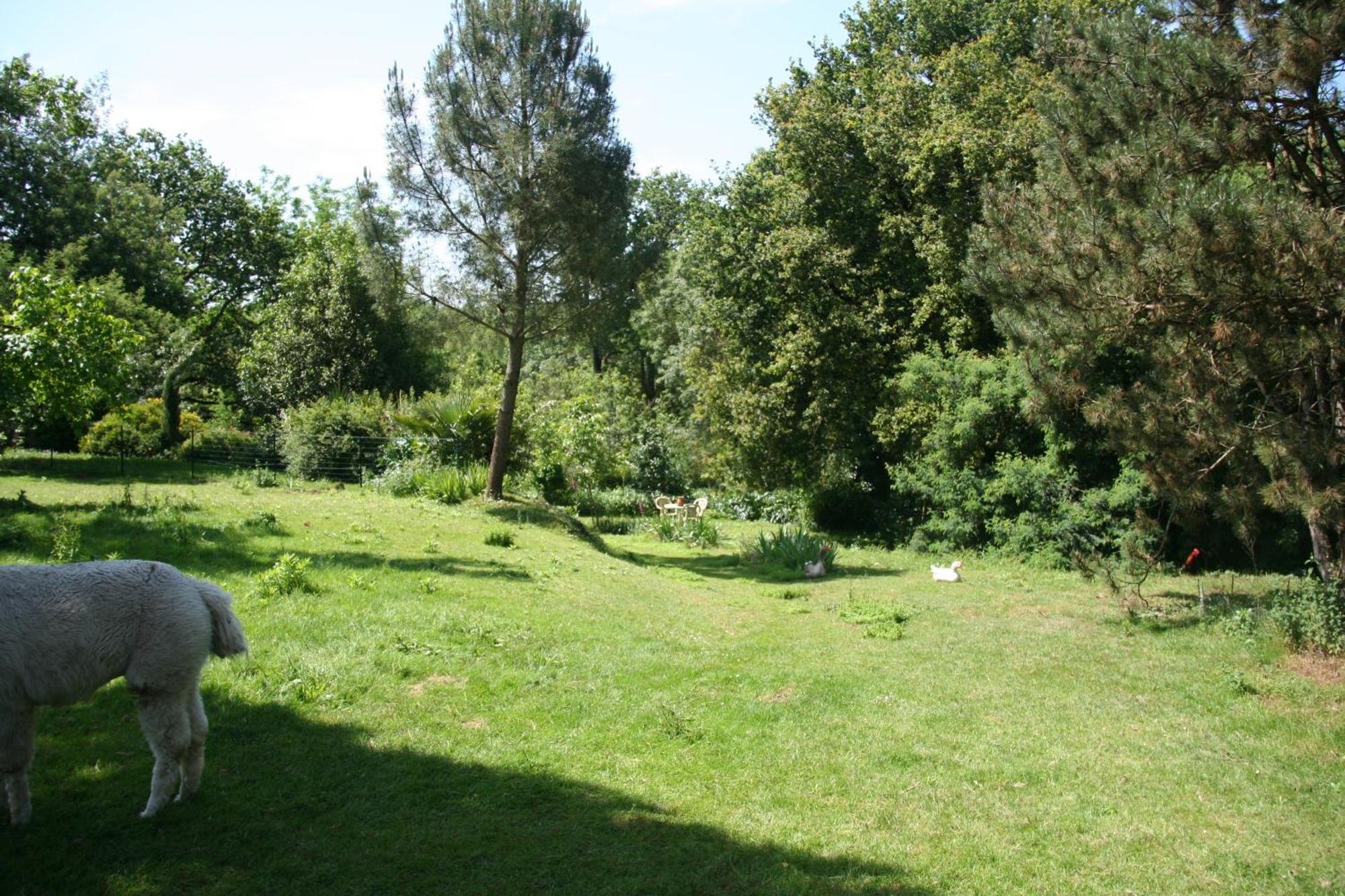 Une Chambre A La Campagne Basse-Goulaine Exteriör bild